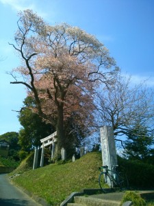 如意輪寺