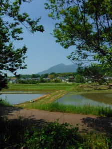 筑波山麓2014年6月